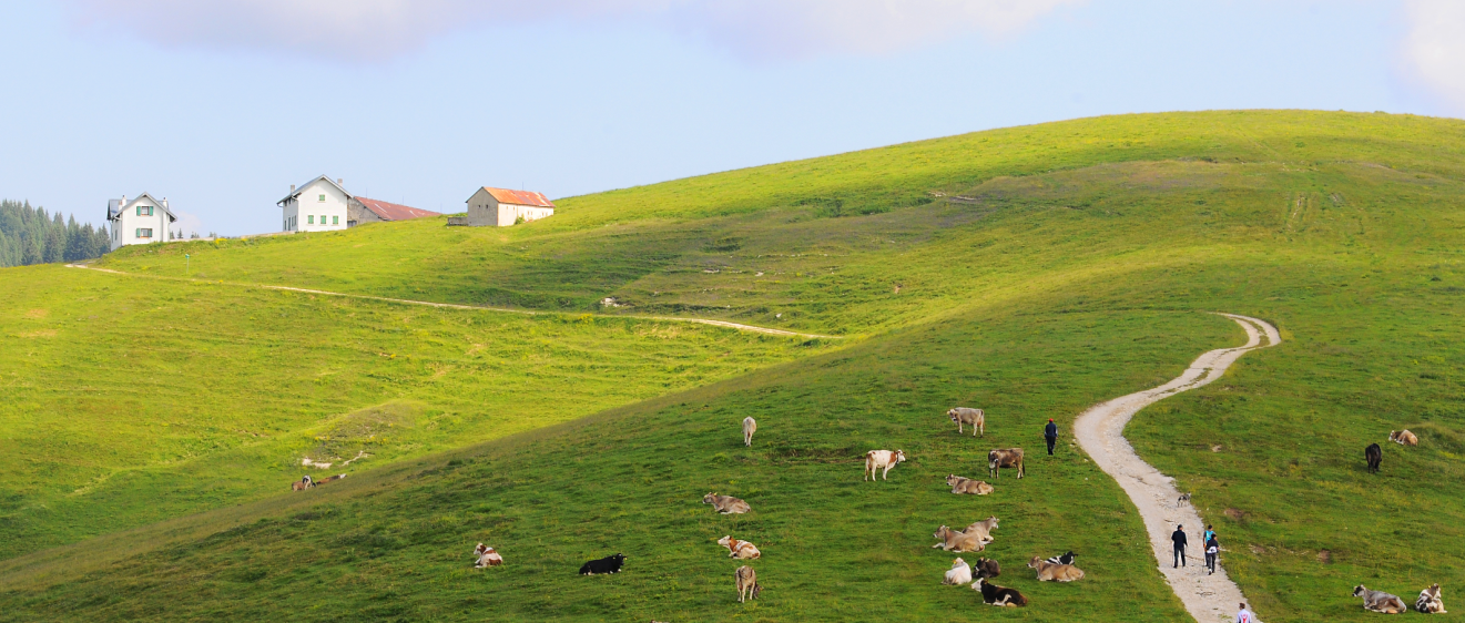 PASSEGGIATE IMMERSI NELLA NATURA - IL NUOVO PORTALE TURISTICO DI GALLIO