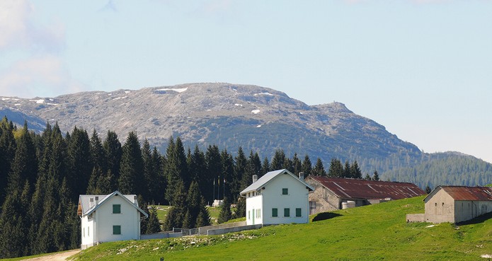 Malga Longara di Dietro